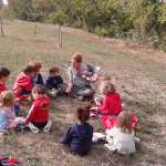 pedagogia chiaravalle